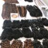 ANGEL HAIR - Pixie Curly (all colors)